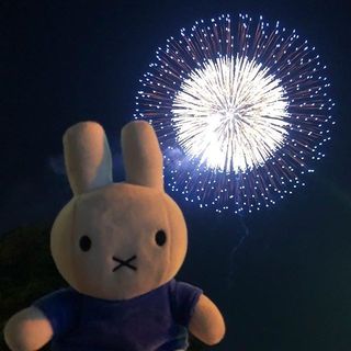 One of the top publications of @miffy_official which has 528 likes and 2 comments