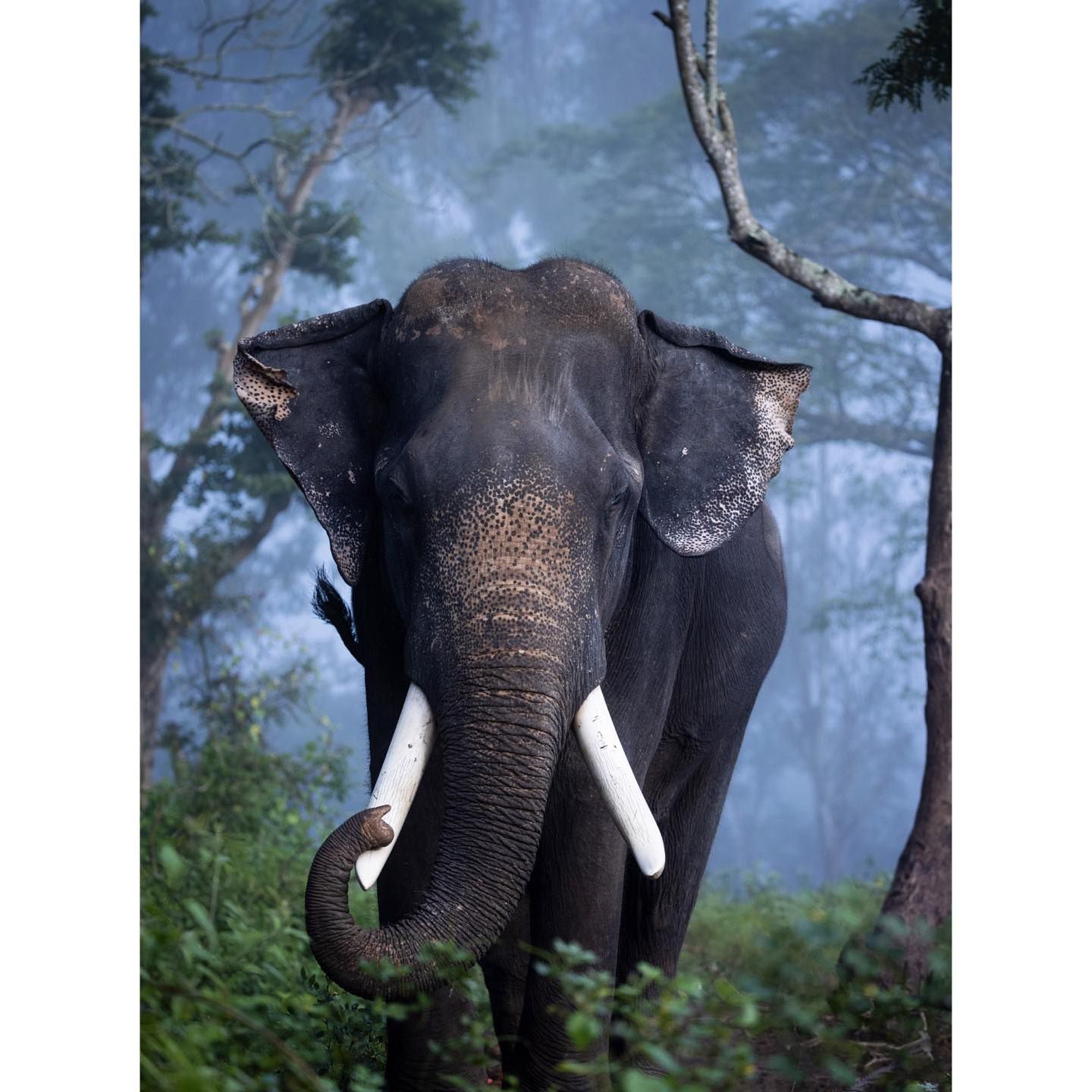One of the top publications of @brentstirton which has 2.3K likes and 28 comments