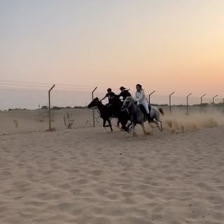 One of the top publications of @alalistable_dubaihorseriding_ which has 1.6K likes and 19 comments