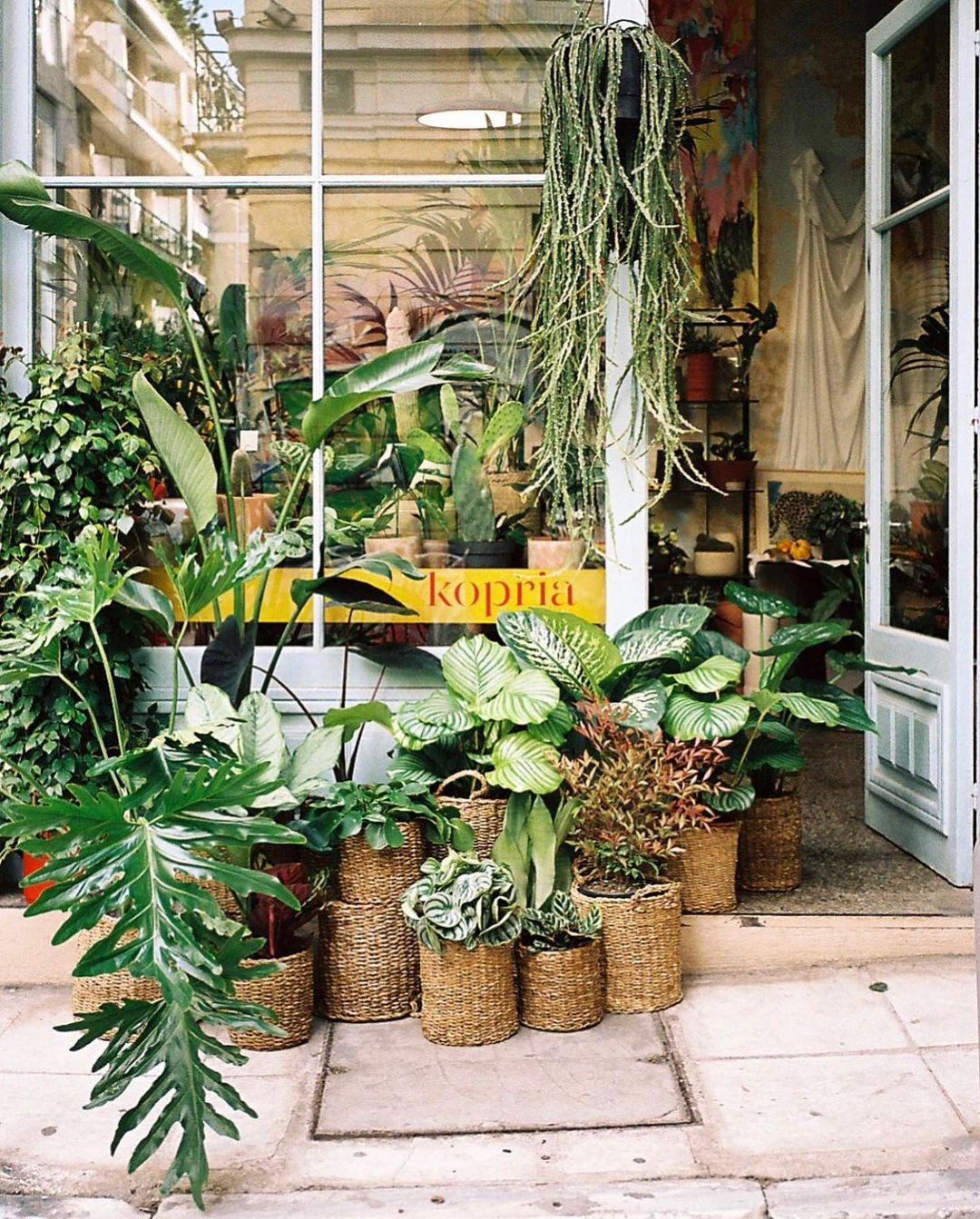 One of the top publications of @urbanjungleblog which has 1.1K likes and 3 comments