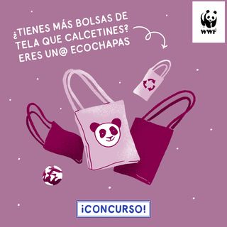 One of the top publications of @wwfspain which has 349 likes and 21 comments