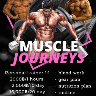 One of the top publications of @musclejourneys which has 1.1K likes and 13 comments