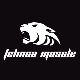One of the top publications of @felinca_muscle which has 28 likes and 4 comments