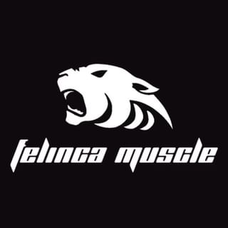One of the top publications of @felinca_muscle which has 33 likes and 2 comments