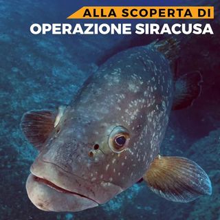 One of the top publications of @sea_shepherd_italia which has 452 likes and 5 comments
