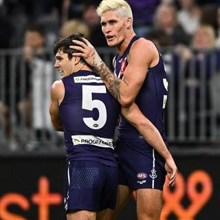 One of the top publications of @freodockers which has 1.3K likes and 12 comments