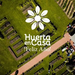 One of the top publications of @quierohuertaencasa which has 133 likes and 14 comments