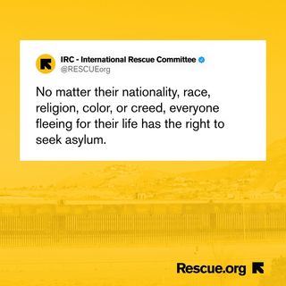 One of the top publications of @rescueorg which has 1.2K likes and 12 comments