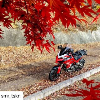 One of the top publications of @ducatijapan which has 405 likes and 2 comments