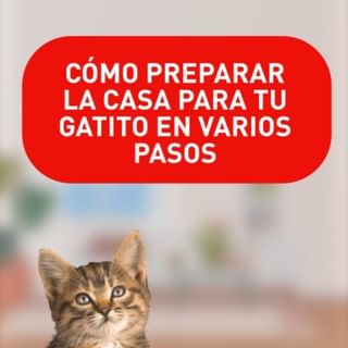One of the top publications of @royalcanin_es which has 99 likes and 3 comments