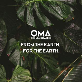 One of the top publications of @omaearth which has 75 likes and 1 comments