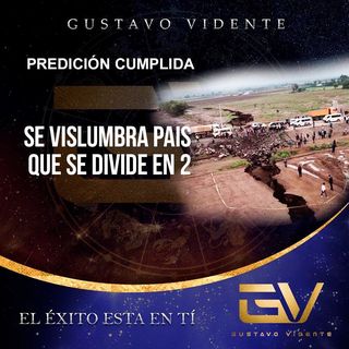 One of the top publications of @gustavovidente which has 1.6K likes and 69 comments