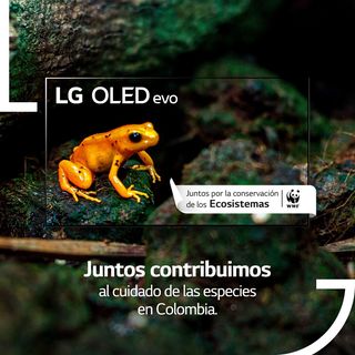One of the top publications of @lg_colombia which has 25 likes and 0 comments