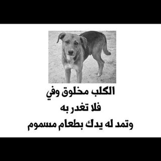 One of the top publications of @theveterinaryhospital which has 36 likes and 3 comments