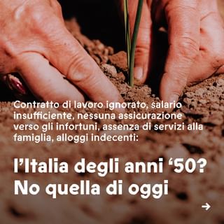 One of the top publications of @actionaiditalia which has 31 likes and 0 comments