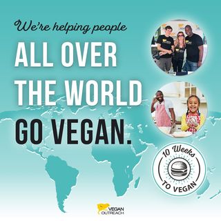 One of the top publications of @veganoutreach which has 1.5K likes and 75 comments