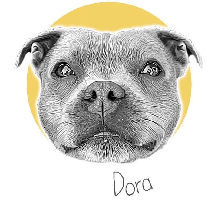 Profile avatar of a_dora_bull
