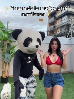 One of the top publications of @pandaaventurerotiktok which has 20.4K likes and 294 comments